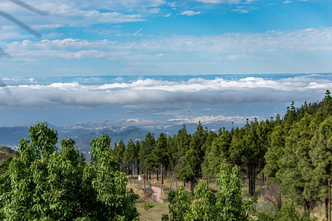 Roque Nublo Rural Houses I 维加-德圣马特奥 外观 照片